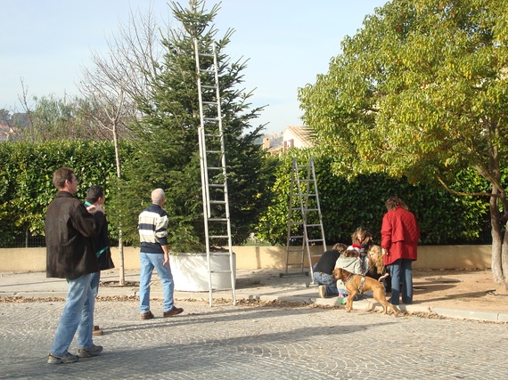 DecoSapin2008_03.jpg