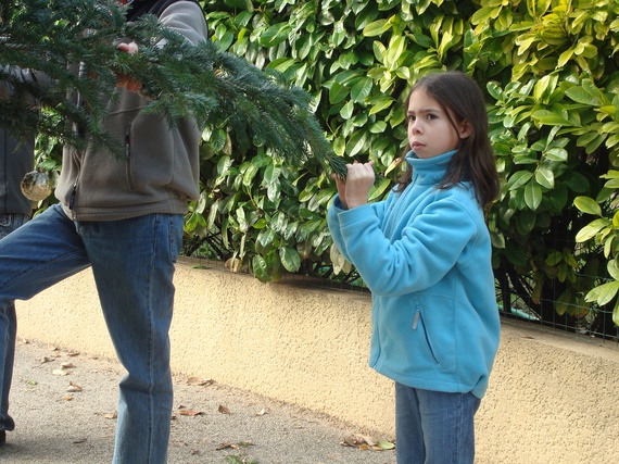 DecoSapin2008_66.jpg