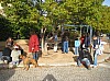 DecoSapin2008_05.jpg