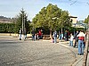 DecoSapin2008_06.jpg
