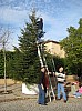 DecoSapin2008_15.jpg