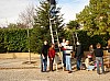 DecoSapin2008_16.jpg