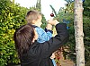 DecoSapin2008_41.jpg