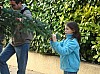 DecoSapin2008_65.jpg