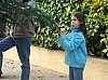 DecoSapin2008_66.jpg