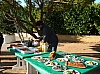 sapin_noel_2009_003.jpg
