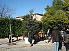 sapin_noel_2009_005.jpg