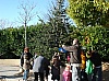 sapin_noel_2009_007.jpg