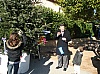 sapin_noel_2009_008.jpg
