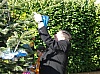 sapin_noel_2009_009.jpg