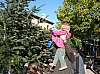 sapin_noel_2009_010.jpg