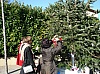 sapin_noel_2009_012.jpg