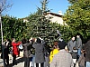 sapin_noel_2009_013.jpg