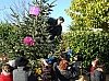 sapin_noel_2009_015.jpg