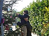 sapin_noel_2009_017.jpg