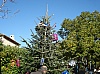 sapin_noel_2009_020.jpg