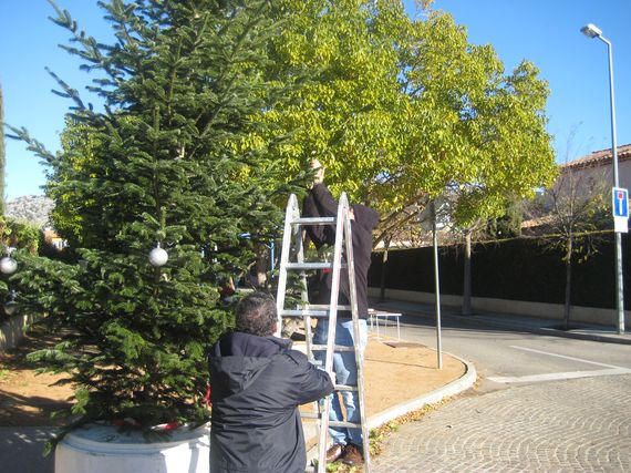 sapin_2010-03.jpg