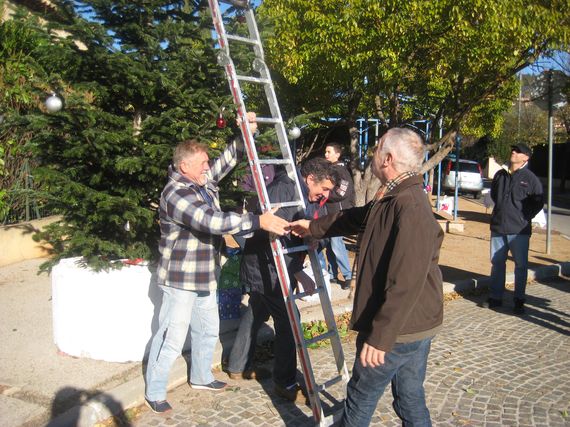 sapin_2010-05.jpg