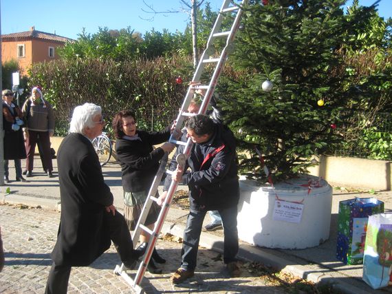 sapin_2010-08.jpg