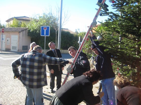 sapin_2010-13.jpg