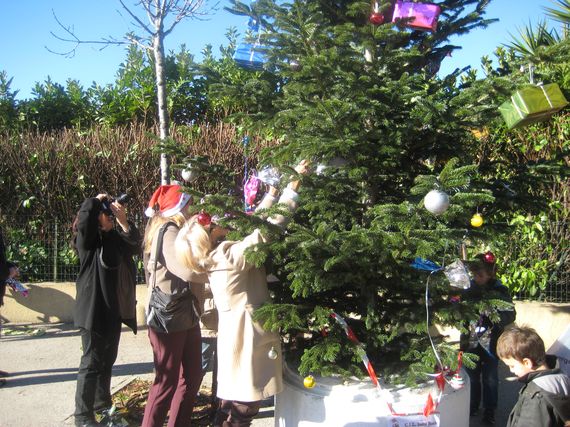 sapin_2010-18.jpg