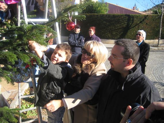 sapin_2010-27.jpg