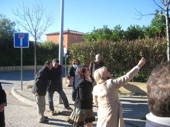 sapin_2010-33.jpg