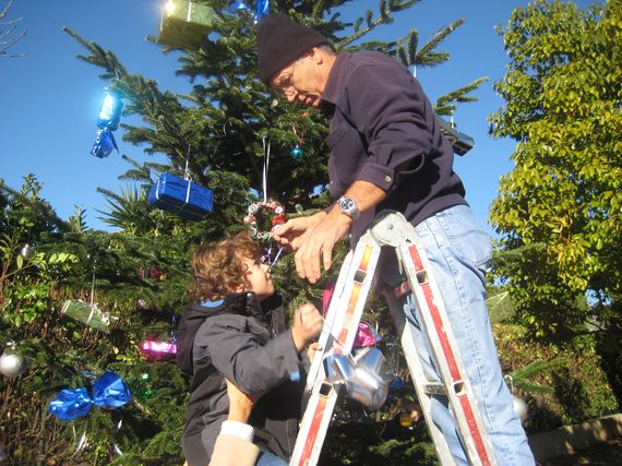 sapin_2010-37.jpg