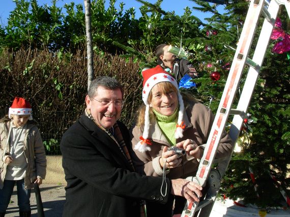 sapin_2010-48.JPG