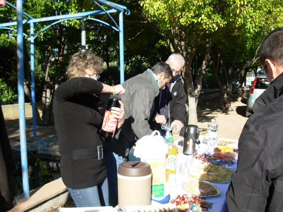 sapin_2010-56.JPG