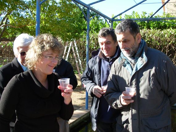 sapin_2010-64.JPG