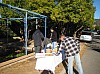 sapin_2010-04.jpg