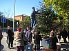 sapin_2010-10.jpg