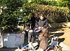 sapin_2010-19.jpg