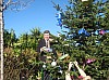 sapin_2010-20.jpg