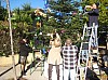 sapin_2010-22.jpg