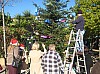 sapin_2010-23.jpg