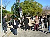 sapin_2010-29.JPG