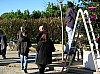 sapin_2010-30.JPG