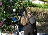 sapin_2010-32.JPG