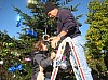 sapin_2010-37.jpg