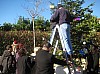 sapin_2010-40.jpg