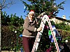 sapin_2010-43.JPG