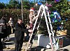 sapin_2010-44.jpg