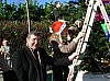 sapin_2010-45.JPG