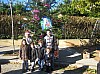 sapin_2010-50.jpg