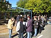 sapin_2010-63.jpg