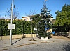 deco_sapin_2011-01.jpg