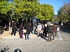 deco_sapin_2011-05.jpg
