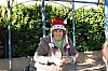 deco_sapin_2011-09.JPG